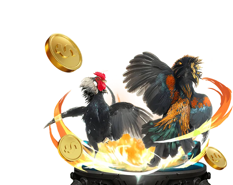Lý do chọn bi88 cổng game